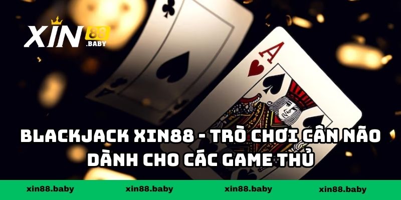 Blackjack XIN88