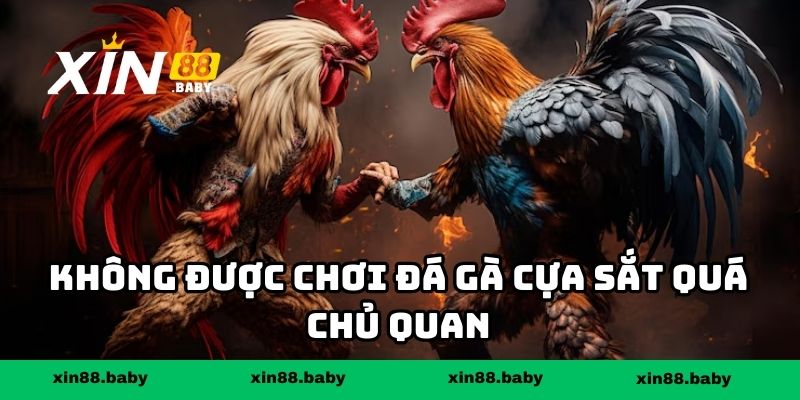 Không được chơi đá gà cựa sắt quá chủ quan