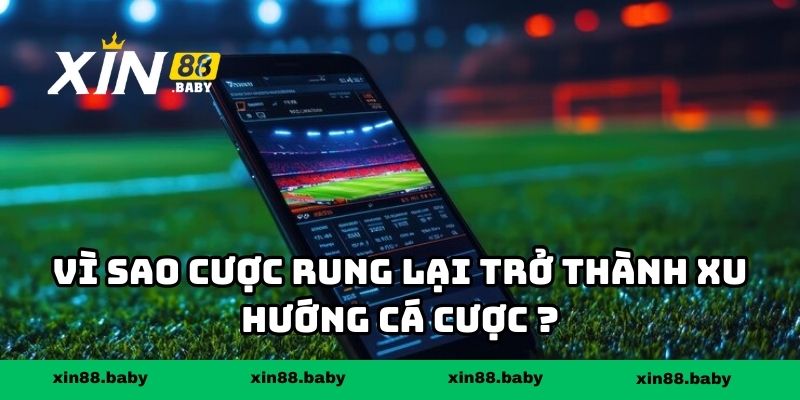 Vì sao cược rung lại trở thành xu hướng cá cược được nhiều người quan tâm?