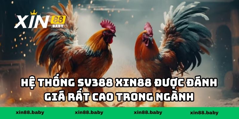 Hệ thống SV388 XIN88 được đánh giá rất cao trong ngành