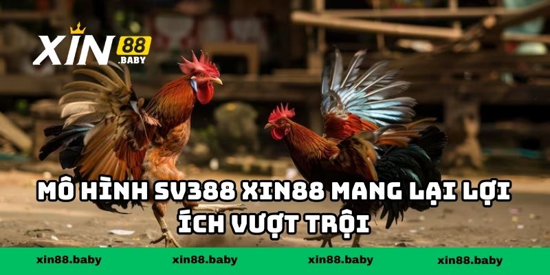 Mô hình SV388 XIN88 mang lại lợi ích vượt trội