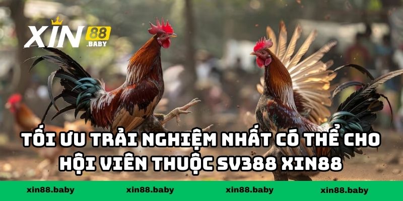 Tối ưu trải nghiệm nhất có thể cho hội viên thuộc SV388 XIN88