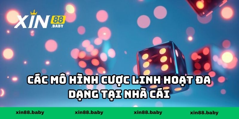 Các mô hình cược linh hoạt đa dạng tại nhà cái